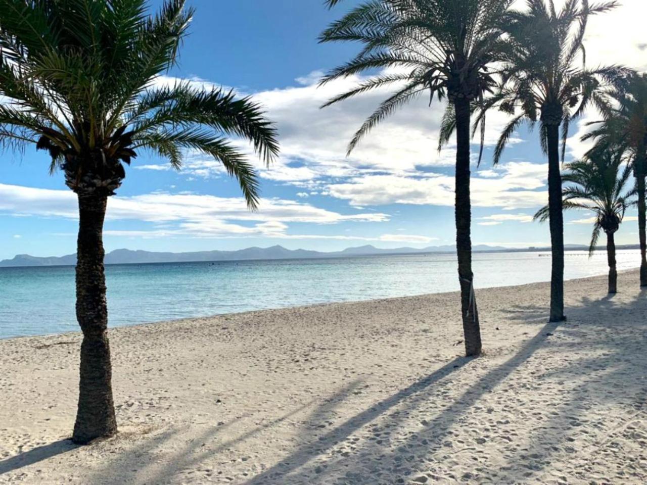 El Paraiso Alcudia  Ngoại thất bức ảnh
