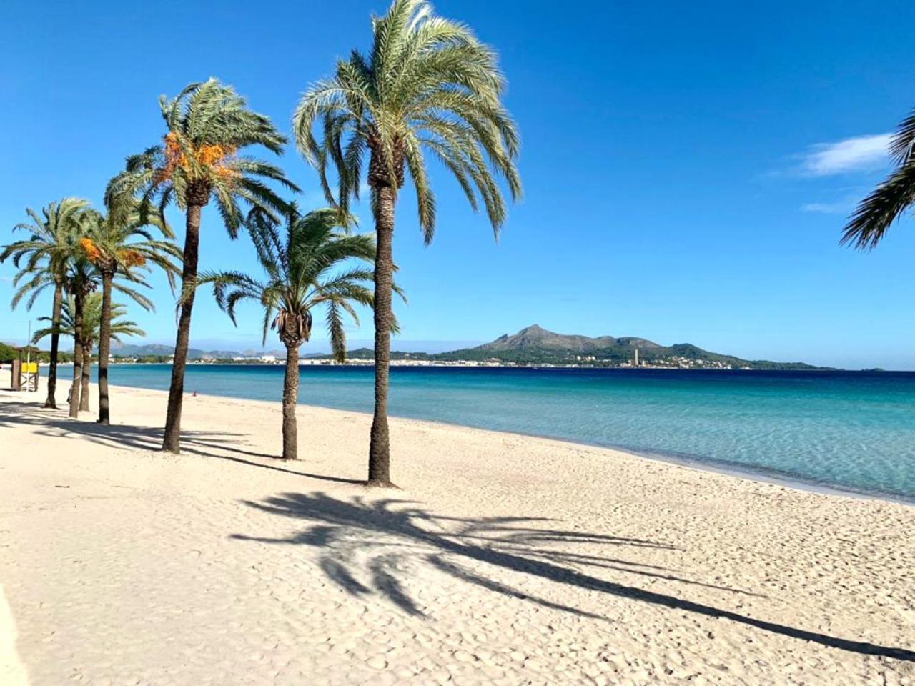 El Paraiso Alcudia  Ngoại thất bức ảnh
